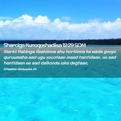 Picture 02 - Sharciga Kunoqoshadiisa 12:29 SOM - Markii Rabbiga Ilaahiinna ahu hortiinna ka wada - Bible Verse Picture