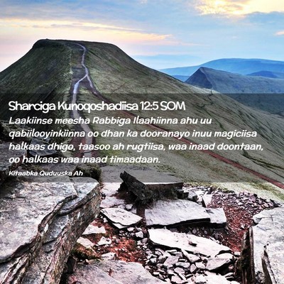 Picture 02 - Sharciga Kunoqoshadiisa 12:5 SOM - Laakiinse meesha Rabbiga Ilaahiinna ahu uu - Bible Verse Picture
