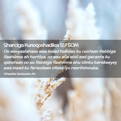 Picture 02 - Sharciga Kunoqoshadiisa 12:7 SOM - Oo waxyaalahaas waa inaad halkaas ku cuntaan - Bible Verse Picture