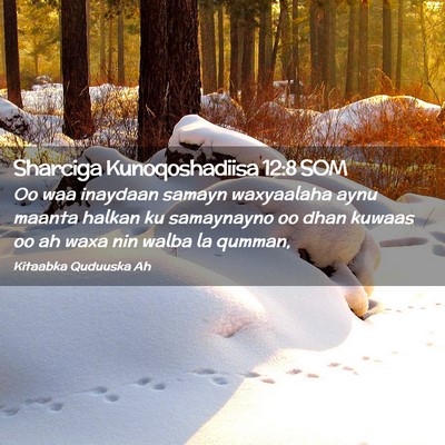 Picture 02 - Sharciga Kunoqoshadiisa 12:8 SOM - Oo waa inaydaan samayn waxyaalaha aynu maanta - Bible Verse Picture