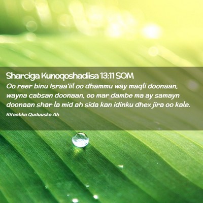 Picture 02 - Sharciga Kunoqoshadiisa 13:11 SOM - Oo reer binu Israa'iil oo dhammu way maqli - Bible Verse Picture