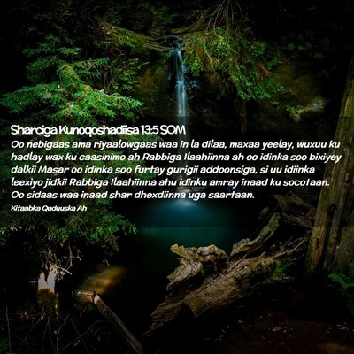 Picture 02 - Sharciga Kunoqoshadiisa 13:5 SOM - Oo nebigaas ama riyaalowgaas waa in la dilaa, - Bible Verse Picture