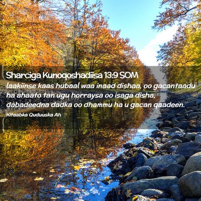 Picture 02 - Sharciga Kunoqoshadiisa 13:9 SOM - laakiinse kaas hubaal waa inaad dishaa, oo - Bible Verse Picture