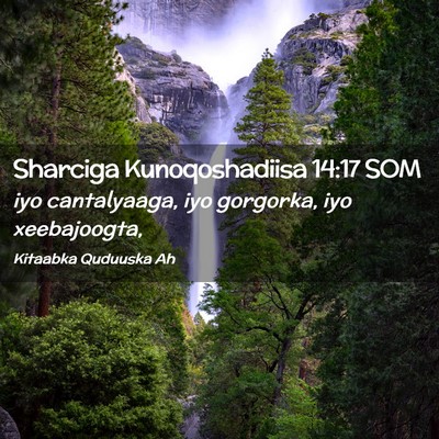 Picture 02 - Sharciga Kunoqoshadiisa 14:17 SOM - iyo cantalyaaga, iyo gorgorka, iyo - Bible Verse Picture