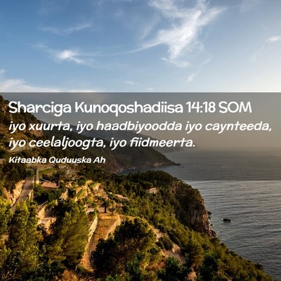 Picture 02 - Sharciga Kunoqoshadiisa 14:18 SOM - iyo xuurta, iyo haadbiyoodda iyo caynteeda, iyo - Bible Verse Picture