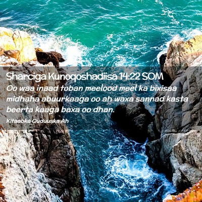 Picture 02 - Sharciga Kunoqoshadiisa 14:22 SOM - Oo waa inaad toban meelood meel ka bixisaa - Bible Verse Picture