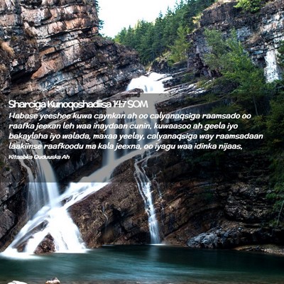 Picture 02 - Sharciga Kunoqoshadiisa 14:7 SOM - Habase yeeshee kuwa caynkan ah oo calyanaqsiga - Bible Verse Picture