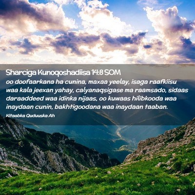 Picture 02 - Sharciga Kunoqoshadiisa 14:8 SOM - oo doofaarkana ha cunina, maxaa yeelay, isaga - Bible Verse Picture
