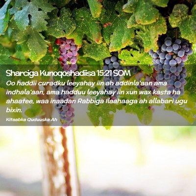 Picture 02 - Sharciga Kunoqoshadiisa 15:21 SOM - Oo haddii curadku leeyahay iin ah addinla'aan ama - Bible Verse Picture