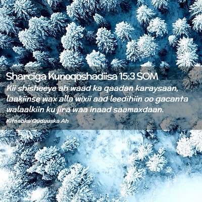 Picture 02 - Sharciga Kunoqoshadiisa 15:3 SOM - Kii shisheeye ah waad ka qaadan karaysaan, - Bible Verse Picture