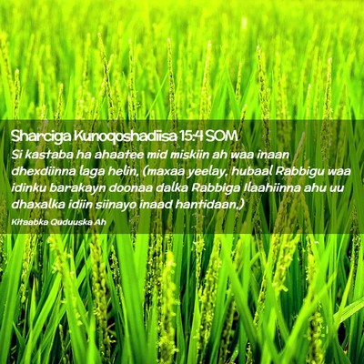 Picture 02 - Sharciga Kunoqoshadiisa 15:4 SOM - Si kastaba ha ahaatee mid miskiin ah waa inaan - Bible Verse Picture