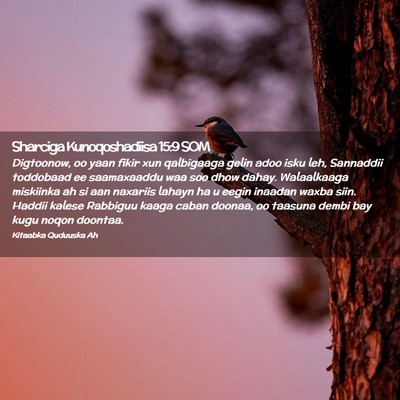 Picture 02 - Sharciga Kunoqoshadiisa 15:9 SOM - Digtoonow, oo yaan fikir xun qalbigaaga gelin - Bible Verse Picture