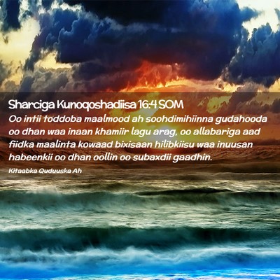 Picture 02 - Sharciga Kunoqoshadiisa 16:4 SOM - Oo intii toddoba maalmood ah soohdimihiinna - Bible Verse Picture