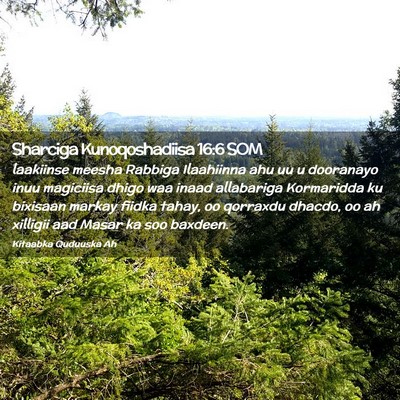 Picture 02 - Sharciga Kunoqoshadiisa 16:6 SOM - laakiinse meesha Rabbiga Ilaahiinna ahu uu u - Bible Verse Picture
