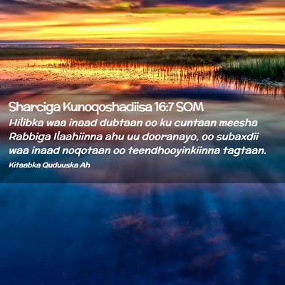 Picture 02 - Sharciga Kunoqoshadiisa 16:7 SOM - Hilibka waa inaad dubtaan oo ku cuntaan meesha - Bible Verse Picture