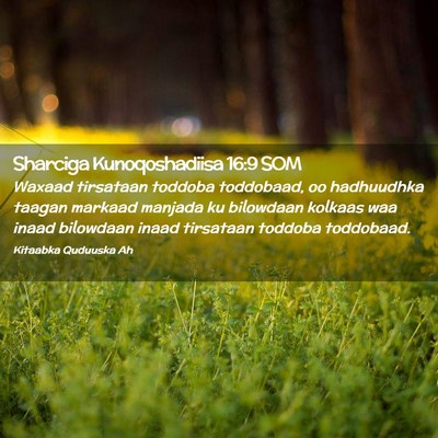 Picture 02 - Sharciga Kunoqoshadiisa 16:9 SOM - Waxaad tirsataan toddoba toddobaad, oo hadhuudhka - Bible Verse Picture