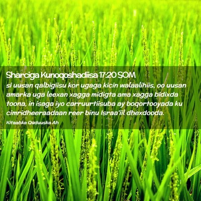 Picture 02 - Sharciga Kunoqoshadiisa 17:20 SOM - si uusan qalbigiisu kor ugaga kicin walaalihiis, - Bible Verse Picture