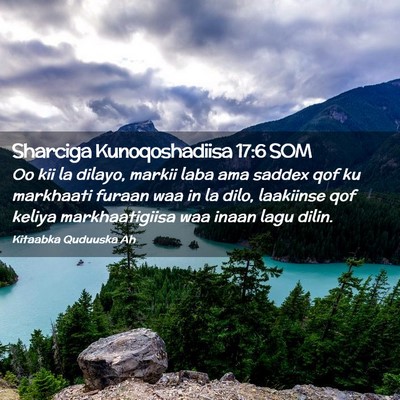 Picture 02 - Sharciga Kunoqoshadiisa 17:6 SOM - Oo kii la dilayo, markii laba ama saddex qof ku - Bible Verse Picture