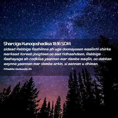 Picture 02 - Sharciga Kunoqoshadiisa 18:16 SOM - sidaad Rabbiga Ilaahiinna ah uga doonayseen - Bible Verse Picture