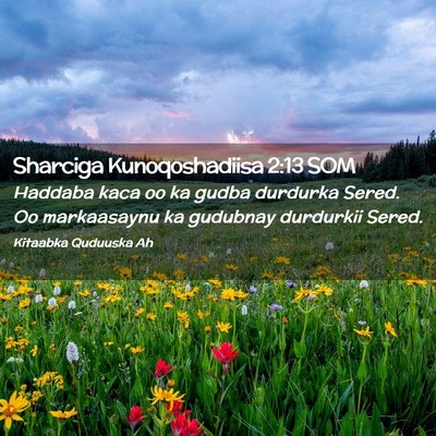 Picture 02 - Sharciga Kunoqoshadiisa 2:13 SOM - Haddaba kaca oo ka gudba durdurka Sered. Oo - Bible Verse Picture