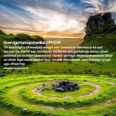 Picture 02 - Sharciga Kunoqoshadiisa 2:14 SOM - Oo wakhtigii u dhexeeyey waagii aan Qaadeesh - Bible Verse Picture