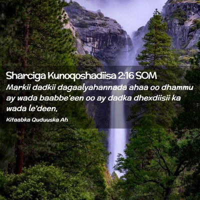 Picture 02 - Sharciga Kunoqoshadiisa 2:16 SOM - Markii dadkii dagaalyahannada ahaa oo dhammu ay - Bible Verse Picture