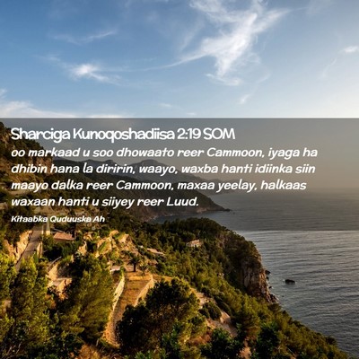Picture 02 - Sharciga Kunoqoshadiisa 2:19 SOM - oo markaad u soo dhowaato reer Cammoon, iyaga ha - Bible Verse Picture