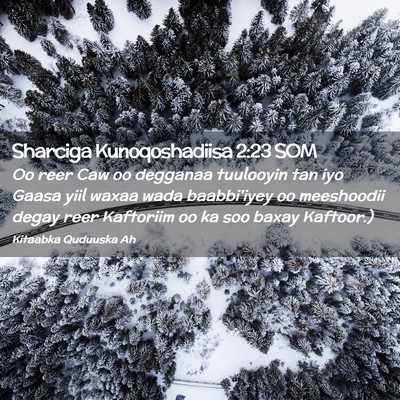 Picture 02 - Sharciga Kunoqoshadiisa 2:23 SOM - Oo reer Caw oo degganaa tuulooyin tan iyo Gaasa - Bible Verse Picture
