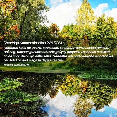 Picture 02 - Sharciga Kunoqoshadiisa 2:24 SOM - Haddaba kaca oo guura, oo waxaad ka gudubtaan - Bible Verse Picture