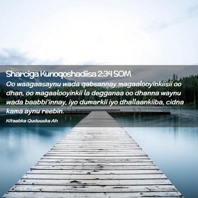Picture 02 - Sharciga Kunoqoshadiisa 2:34 SOM - Oo waagaasaynu wada qabsannay magaalooyinkiisii - Bible Verse Picture