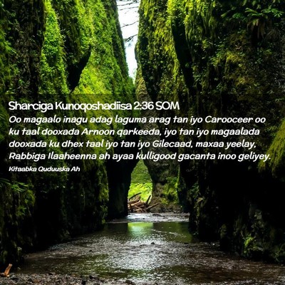 Picture 02 - Sharciga Kunoqoshadiisa 2:36 SOM - Oo magaalo inagu adag laguma arag tan iyo - Bible Verse Picture