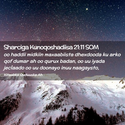 Picture 02 - Sharciga Kunoqoshadiisa 21:11 SOM - oo haddii midkiin maxaabiista dhexdooda ku arko - Bible Verse Picture