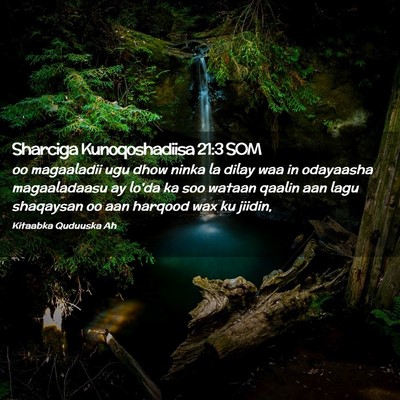 Picture 02 - Sharciga Kunoqoshadiisa 21:3 SOM - oo magaaladii ugu dhow ninka la dilay waa in - Bible Verse Picture