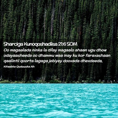 Picture 02 - Sharciga Kunoqoshadiisa 21:6 SOM - Oo magaalada ninka la dilay magaalo ahaan ugu - Bible Verse Picture