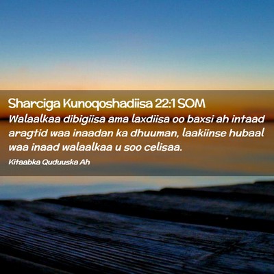 Picture 02 - Sharciga Kunoqoshadiisa 22:1 SOM - Walaalkaa dibigiisa ama laxdiisa oo baxsi ah - Bible Verse Picture