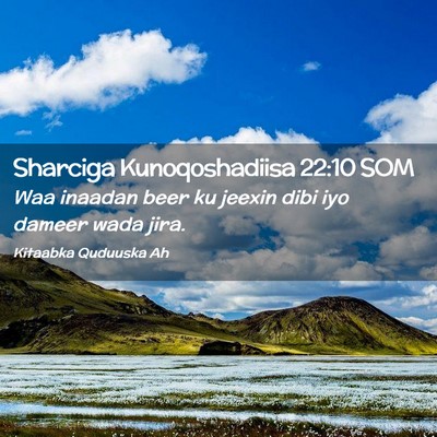 Picture 02 - Sharciga Kunoqoshadiisa 22:10 SOM - Waa inaadan beer ku jeexin dibi iyo dameer wada - Bible Verse Picture