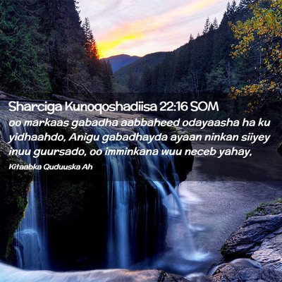 Picture 02 - Sharciga Kunoqoshadiisa 22:16 SOM - oo markaas gabadha aabbaheed odayaasha ha ku - Bible Verse Picture