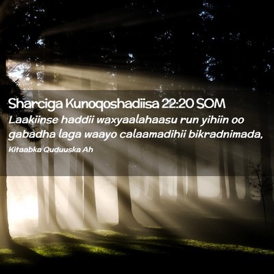 Picture 02 - Sharciga Kunoqoshadiisa 22:20 SOM - Laakiinse haddii waxyaalahaasu run yihiin oo - Bible Verse Picture
