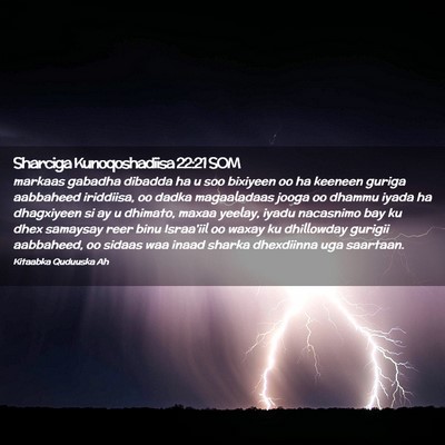 Picture 02 - Sharciga Kunoqoshadiisa 22:21 SOM - markaas gabadha dibadda ha u soo bixiyeen oo ha - Bible Verse Picture