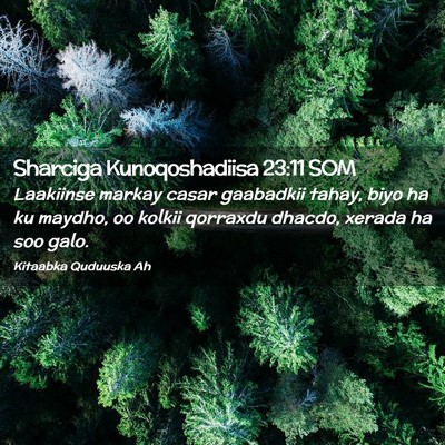 Picture 02 - Sharciga Kunoqoshadiisa 23:11 SOM - Laakiinse markay casar gaabadkii tahay, biyo ha - Bible Verse Picture