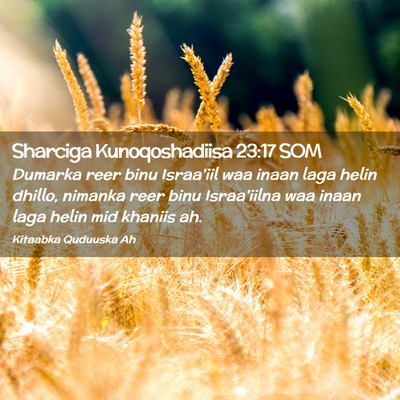 Picture 02 - Sharciga Kunoqoshadiisa 23:17 SOM - Dumarka reer binu Israa'iil waa inaan laga helin - Bible Verse Picture