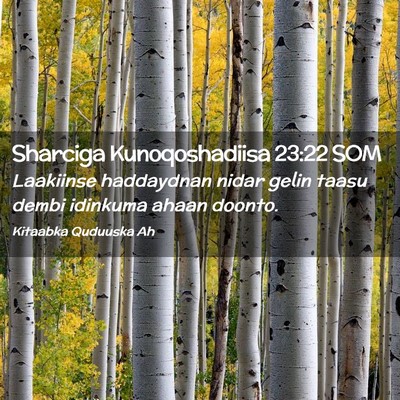 Picture 02 - Sharciga Kunoqoshadiisa 23:22 SOM - Laakiinse haddaydnan nidar gelin taasu dembi - Bible Verse Picture