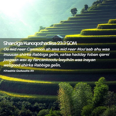 Picture 02 - Sharciga Kunoqoshadiisa 23:3 SOM - Oo mid reer Cammoon ah ama mid reer Moo'aab ahu - Bible Verse Picture