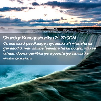 Picture 02 - Sharciga Kunoqoshadiisa 24:20 SOM - Oo markaad geedkaaga saytuunka ah midhaha ka - Bible Verse Picture