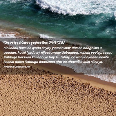Picture 02 - Sharciga Kunoqoshadiisa 24:4 SOM - ninkeedii hore oo iyada eryay yuusan mar dambe - Bible Verse Picture