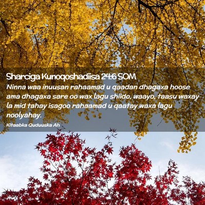 Picture 02 - Sharciga Kunoqoshadiisa 24:6 SOM - Ninna waa inuusan rahaamad u qaadan dhagaxa hoose - Bible Verse Picture