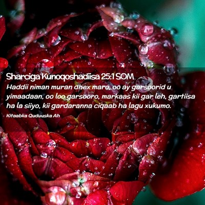 Picture 02 - Sharciga Kunoqoshadiisa 25:1 SOM - Haddii niman muran dhex maro, oo ay garsoorid u - Bible Verse Picture