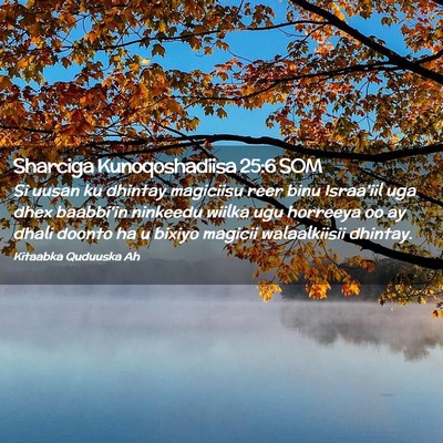 Picture 02 - Sharciga Kunoqoshadiisa 25:6 SOM - Si uusan ku dhintay magiciisu reer binu Israa'iil - Bible Verse Picture