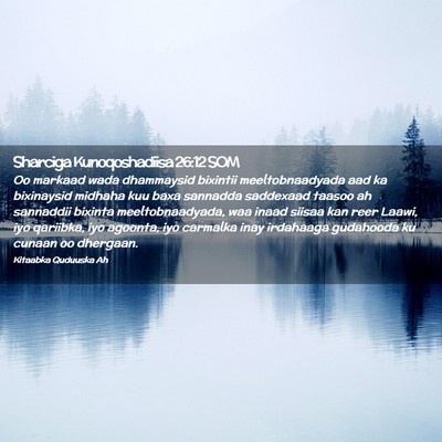 Picture 02 - Sharciga Kunoqoshadiisa 26:12 SOM - Oo markaad wada dhammaysid bixintii - Bible Verse Picture