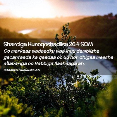 Picture 02 - Sharciga Kunoqoshadiisa 26:4 SOM - Oo markaas wadaadku waa inuu dambiisha gacantaada - Bible Verse Picture